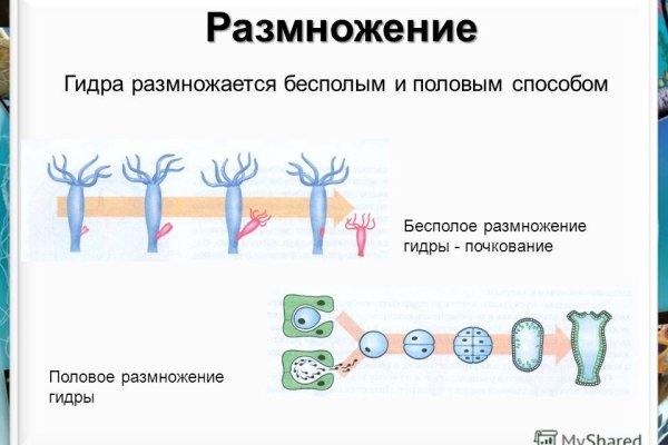 Восстановить аккаунт на кракене